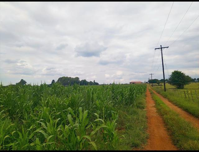 8.80HA FARM FOR SALE IN MAGALIESBURG